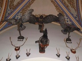 ungarn oktober 2008 179.jpg